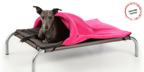 10 Doggie-licious Christmas Gifts for Dogs