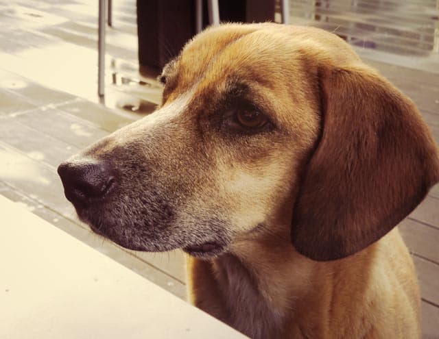 Wordless Wednesday, Butter wouldn’t melt….