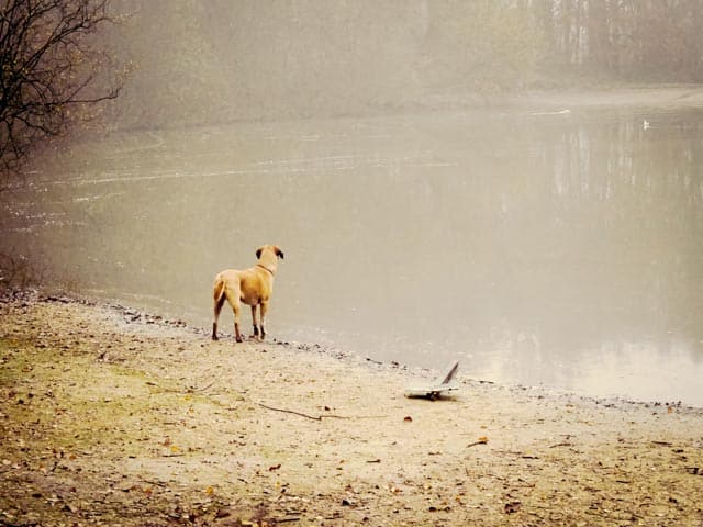 Wordless Wednesday, The Simple Things…