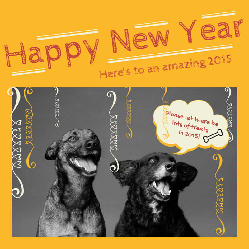 Wordless Wednesday & Happy New Year!