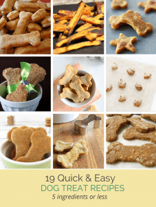 19 Treats - International Dog Biscuit Appreciation Day