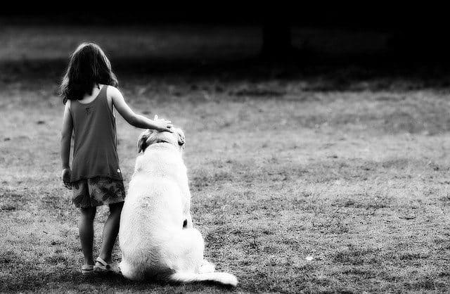 Love Your Pet Day