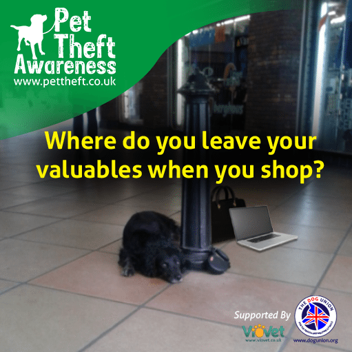  February Pet Holidays & Awareness Days - Pet Theft Awareness