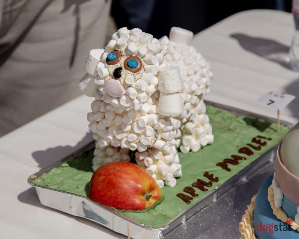 The Great Hampstead Bark Off – Sunday 10th May 2015