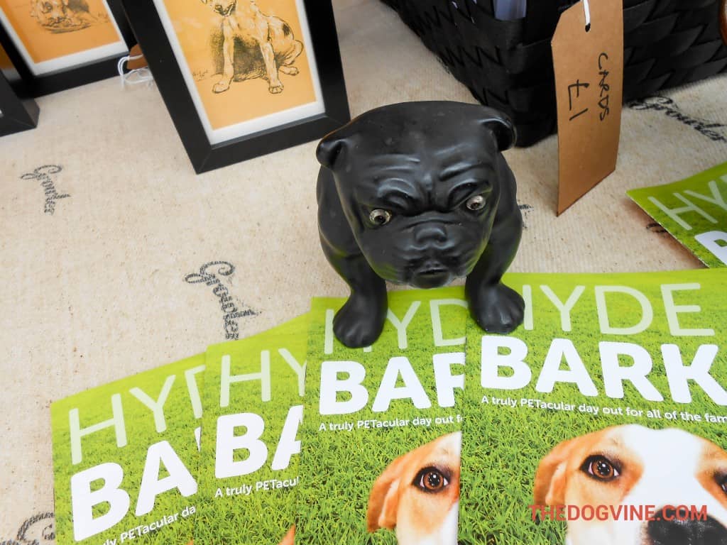 Mayhew Animal Home - Hyde Bark