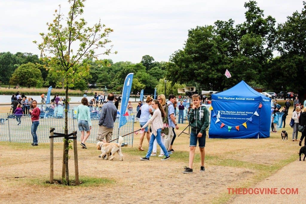 Mayhew Animal Home - Hyde Bark