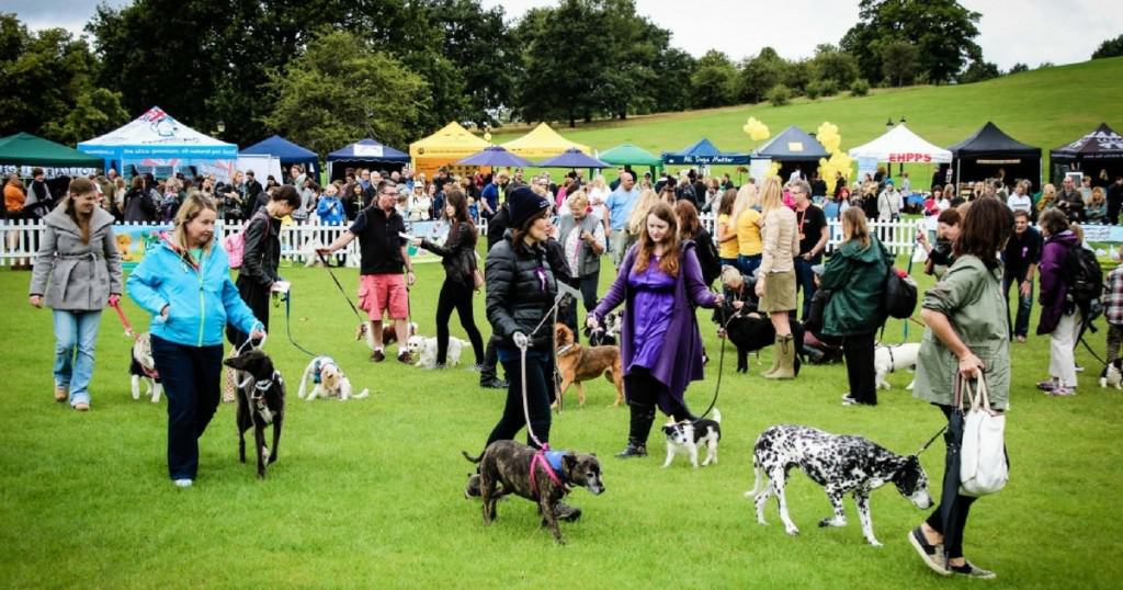 Judging at PupAid 2015 – Every Pup’s a Winner!