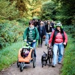 All Dogs Matter Halloween Walk 2015