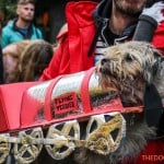 All Dogs Matter Halloween Walk 2015