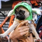 All Dogs Matter Halloween Walk 2015