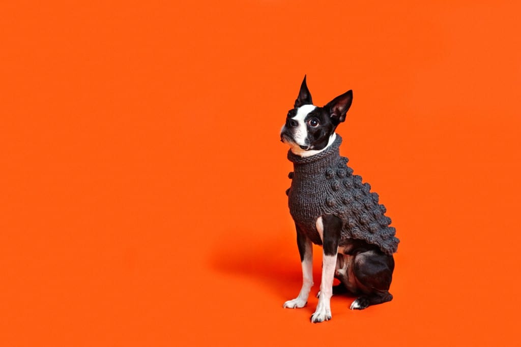 For Fashion Hounds: Lead The Walk’s Pup Up Boutique @ Stylist Live