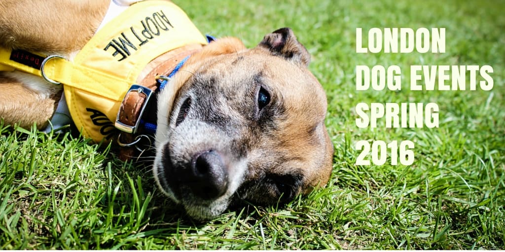 What's On - The Latest London Dog Events For Spring