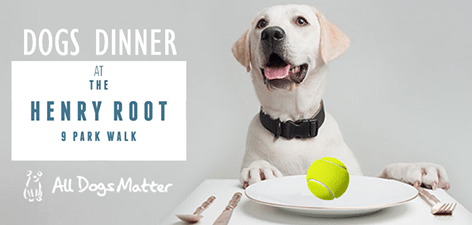 Dogs Dinner At The Henry Root
