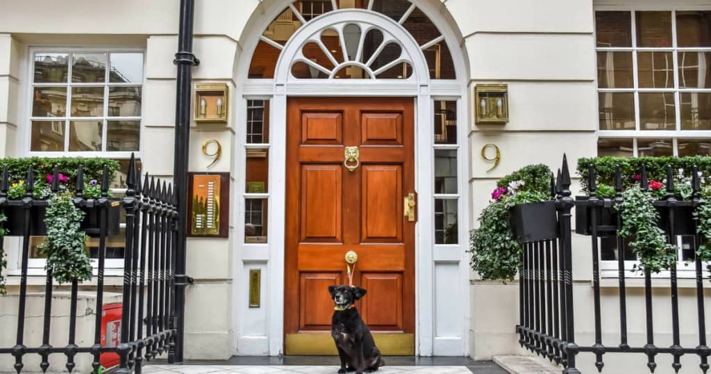 9 Hertford Street | Why This is THE Dog Friendly Place To Stay in Mayfair
