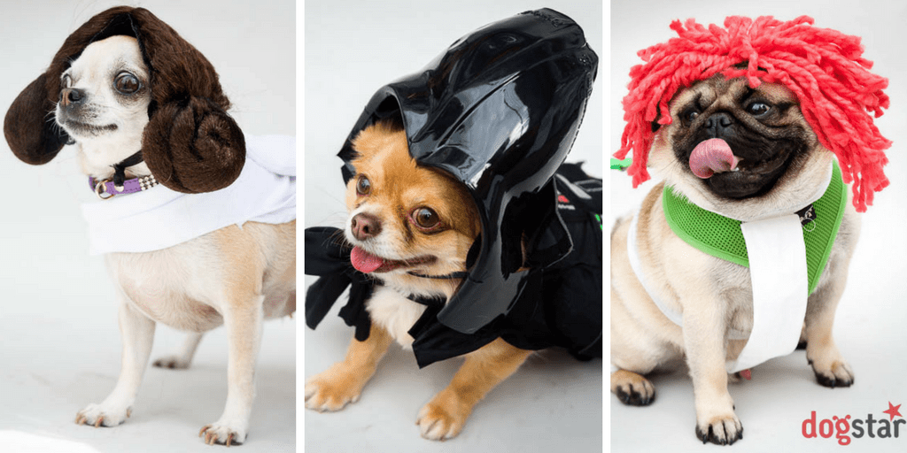 SCI-FIDO | The Geeky Event Not To Be Missed For London Dogs This Month
