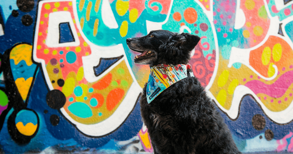 Our London Dog Photo Shoot with Emma O’Brien
