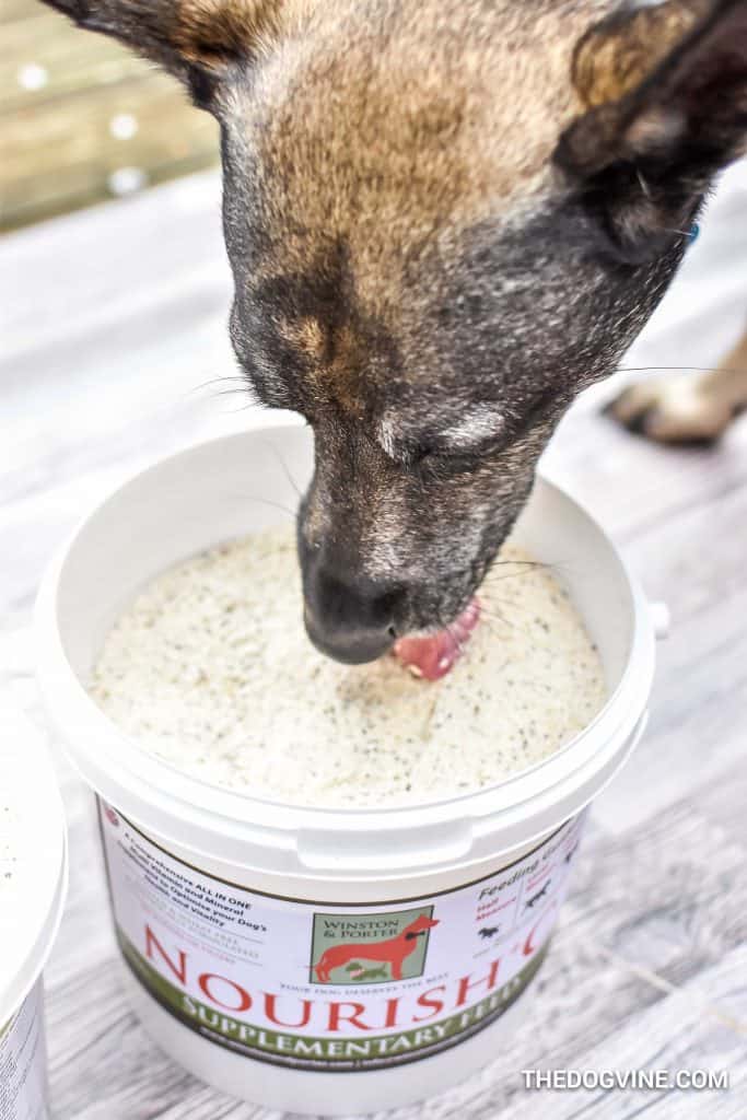 Winston and Porter Dog Supplements 00001