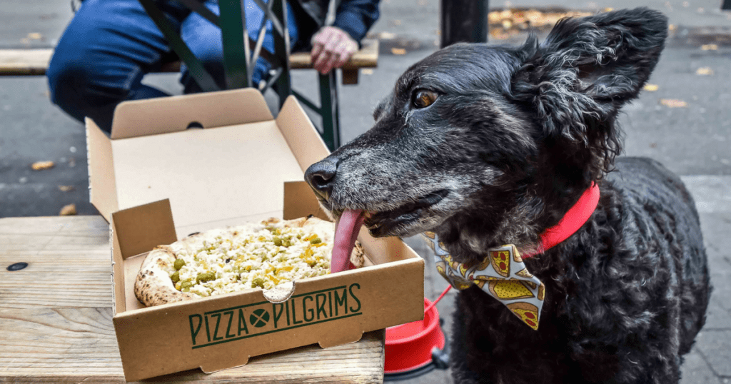 Pooches Get a ‘Pizza’ The Action At Dog-Friendly Pizza Pilgrims