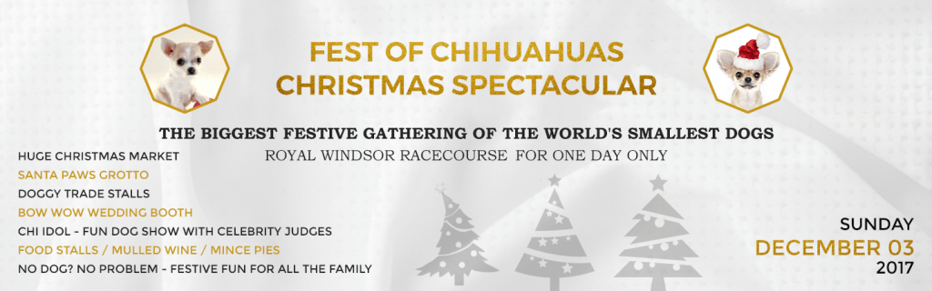 Fest of Chihuahuas Christmas Special