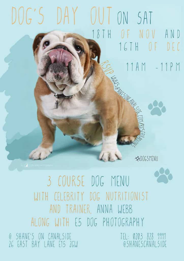 December 2017 Events Agenda For London Dogs - Shane's Dog Day Out