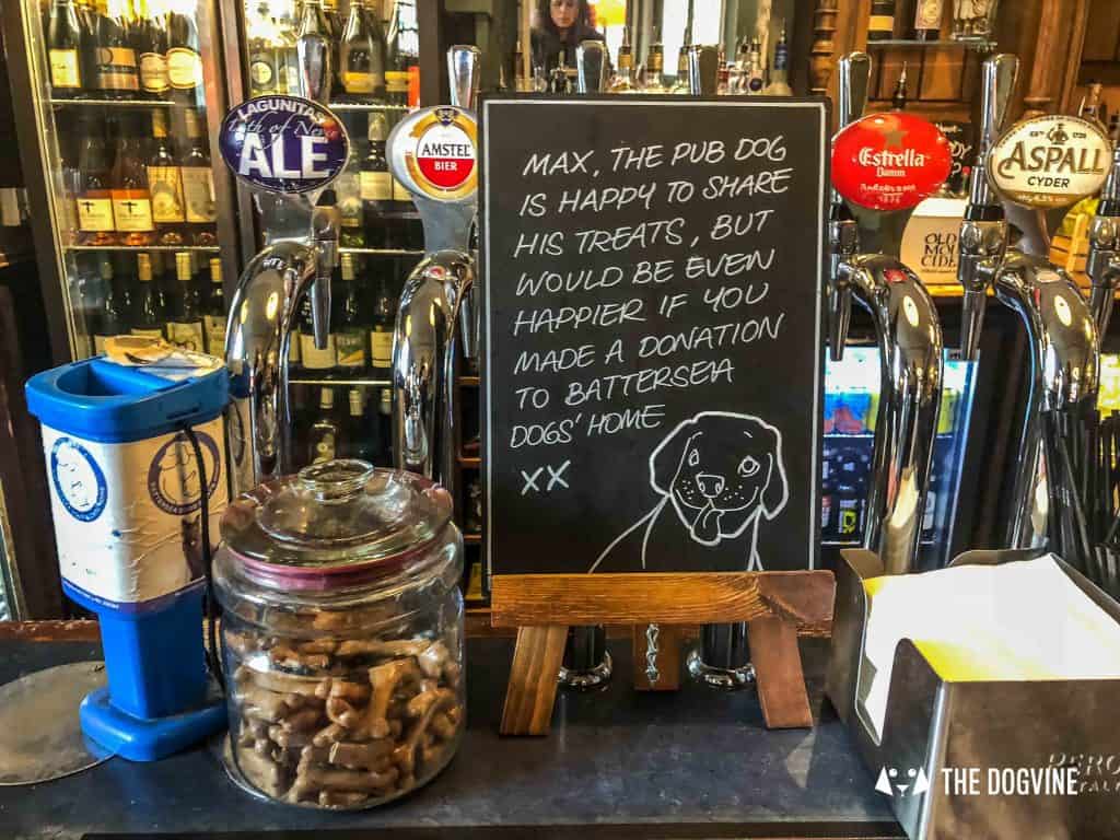 Canine Christmas Crackers at The Windmill Clapham 42