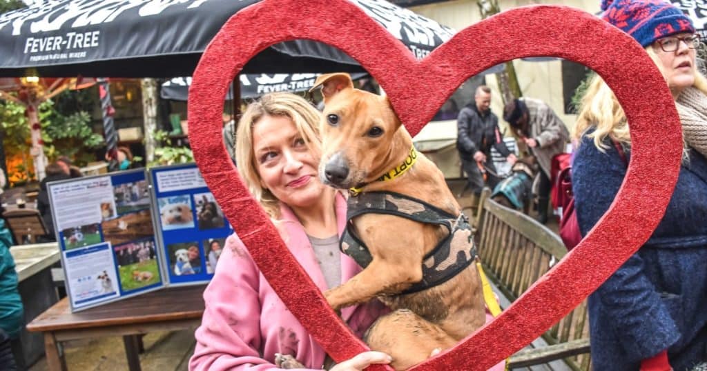 February 2018 | Dog Events in London Not To Miss