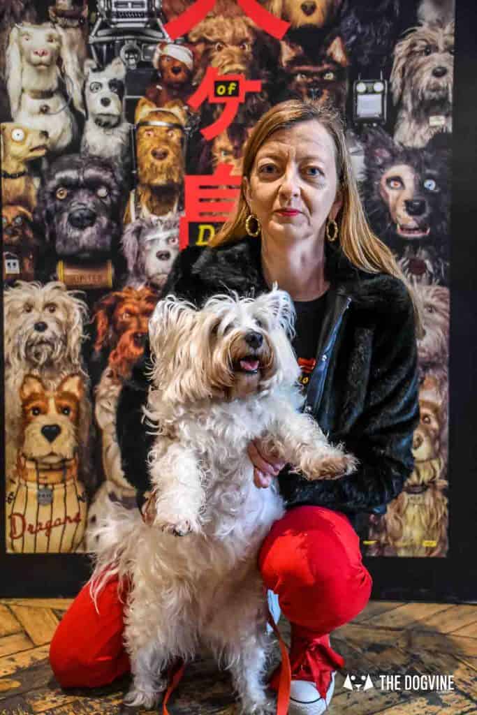 Dog-Friendly Cinema - Picturehouse Clapham - Isle of Dogs 11