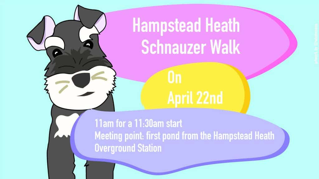 London Dog Events - Hampstead Heath Schnauzer Walk No 6