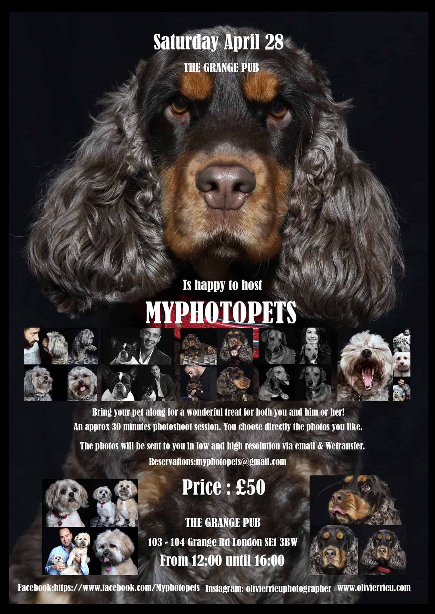 London Dog Events - My PhotoPets Popup Photos
