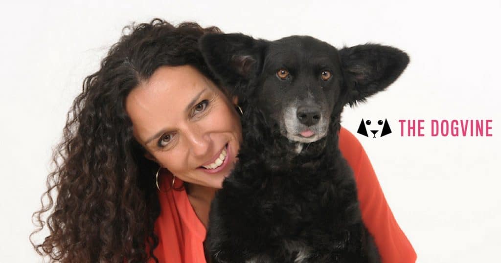 The Dogvine London Dog Blog Gets A New Look