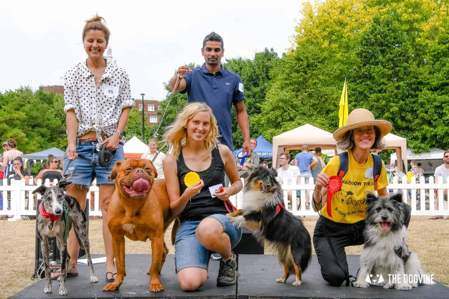All Things Dog At The Canary Woof Dog Show 2018 17