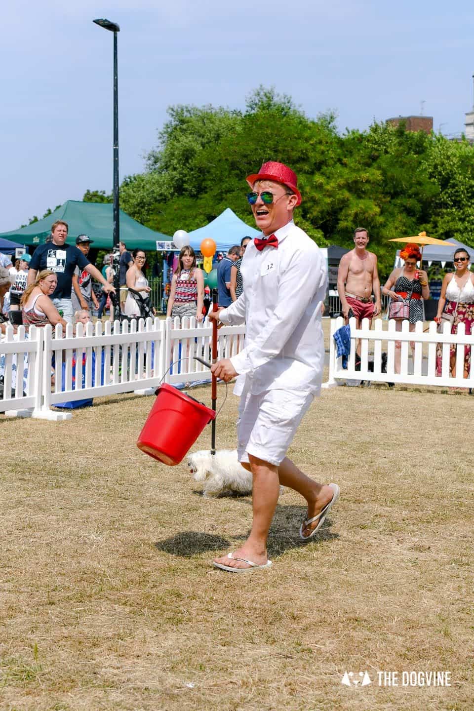 All Things Dog At The Canary Woof Dog Show 2018 31