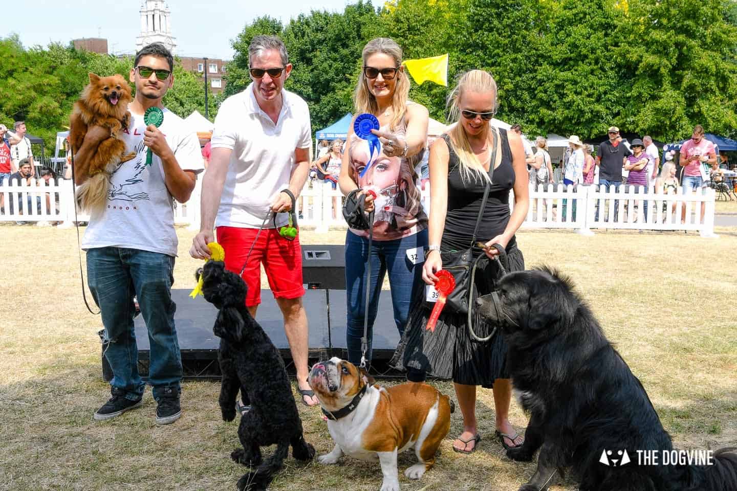 All Things Dog At The Canary Woof Dog Show 2018 34