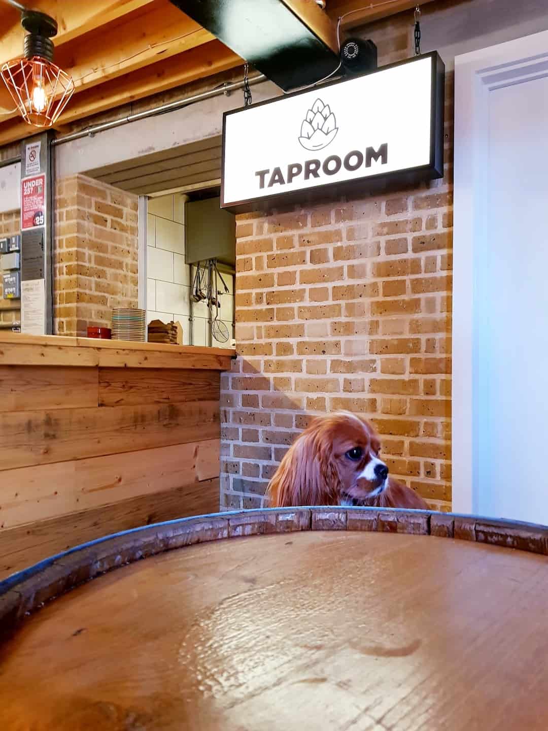 My Dog Friendly London by Amber The Cav - The Tap Room 4