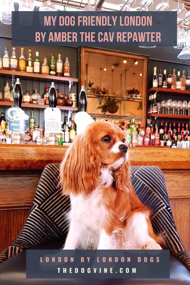 My Dog Friendly London by Amber the Cav Repawter - Cover Image
