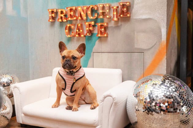 Frenchie Cafe London