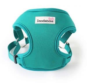 NEOFLEX HARNESS – TEAL