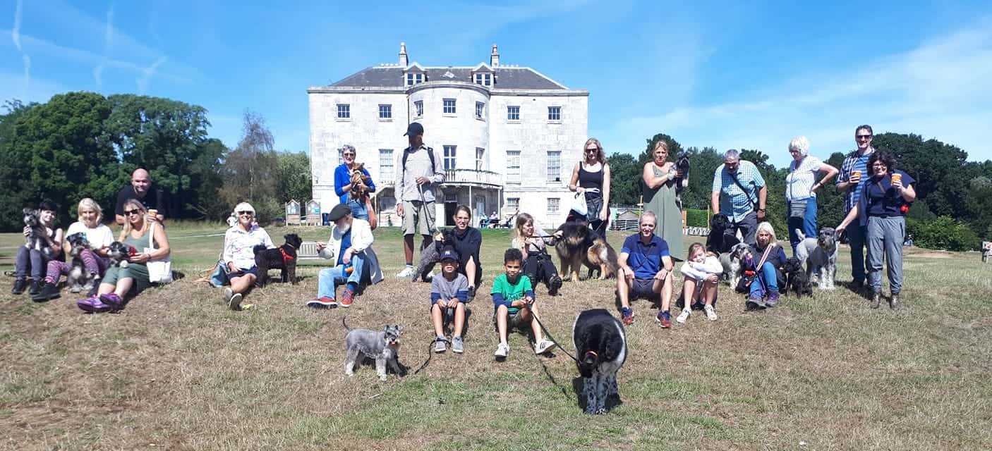 Schnauzers and Friends Walk September 2018