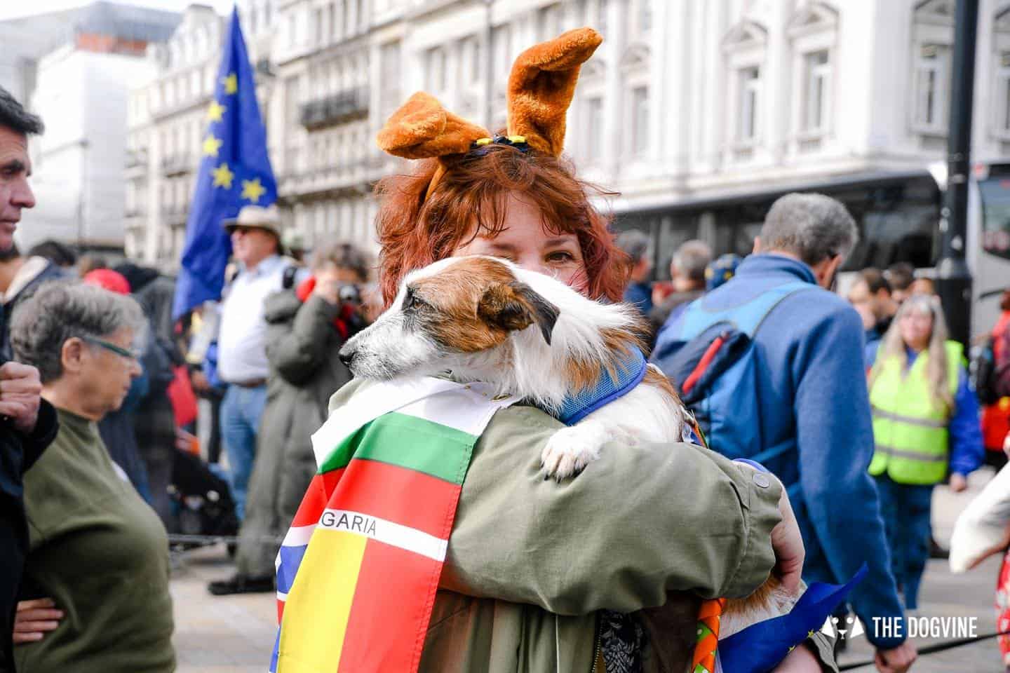 Dogs and Pups Protest at Westminster Brexit Wooferendum March In Pictures 34