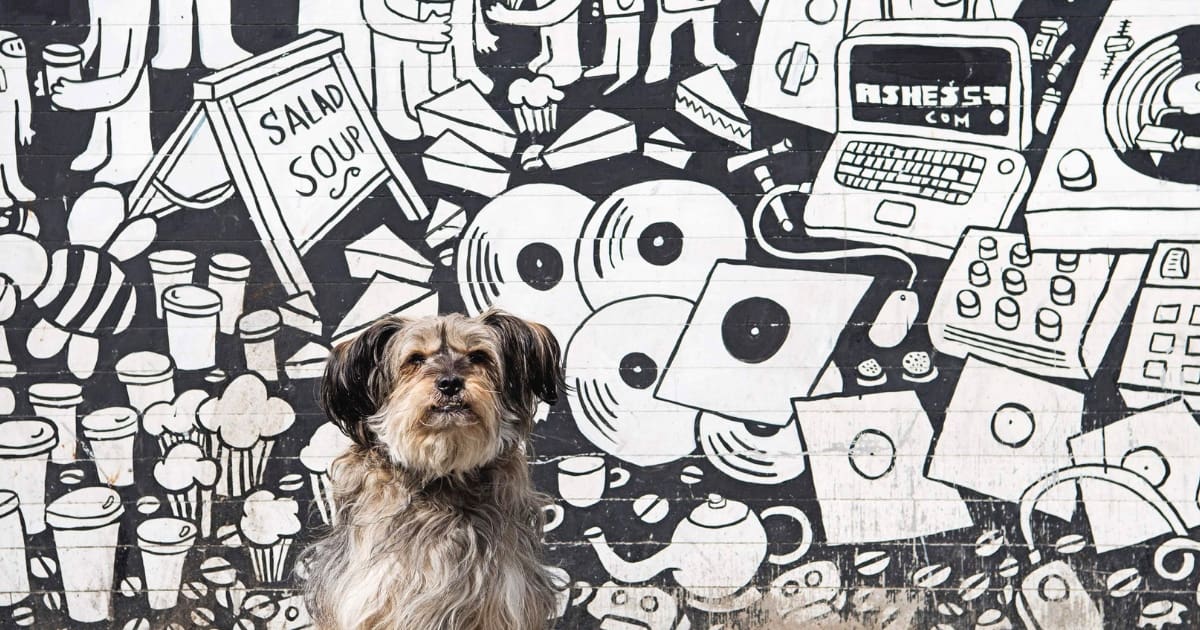London Dog Events On This Week 26 – 31 October