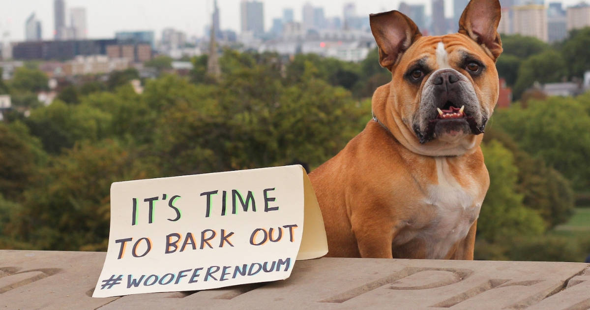 London Dogs To Bark Out Against Brexit on the Wooferendum March
