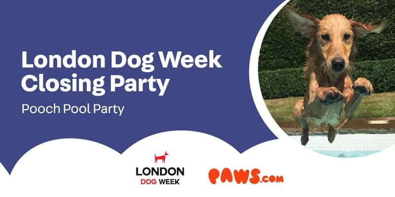 London Dog Week Closing Party