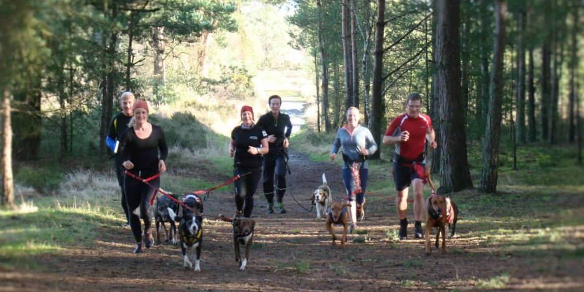 Run The Pack Hampstead Heath - Run the Pack LDN