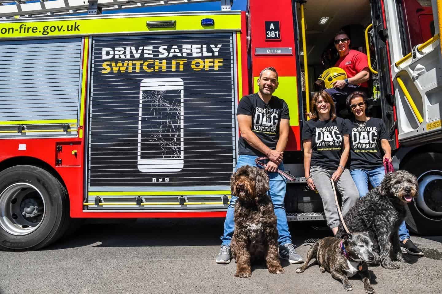 London Dog Events and Things to Do June 2019