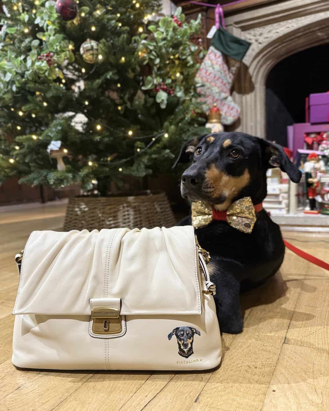 Marc Jacobs Pet Portraits - Bark Jacobs Regent Street London 12
