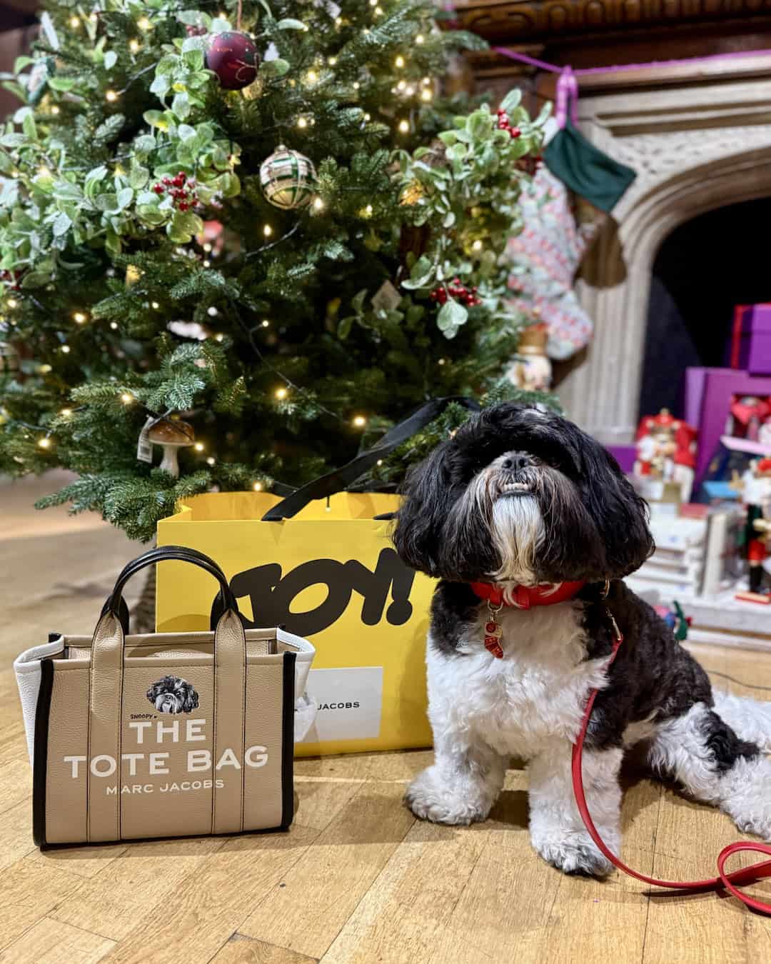 Marc Jacobs Pet Portraits - Bark Jacobs Regent Street London 16