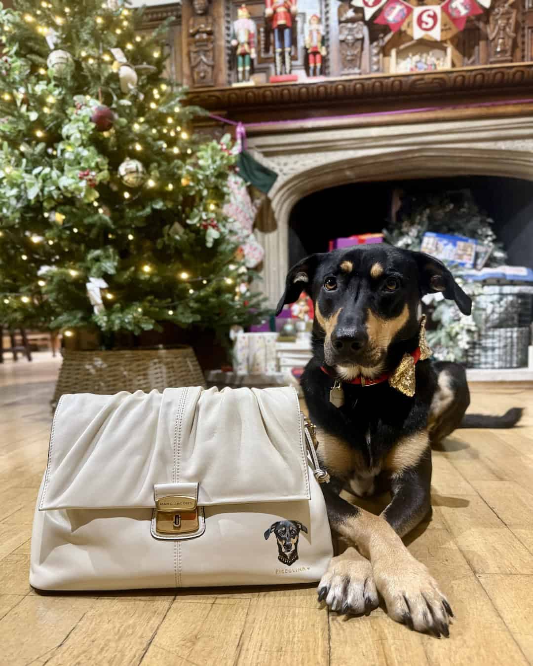 Marc Jacobs Pet Portraits - Bark Jacobs Regent Street London 19