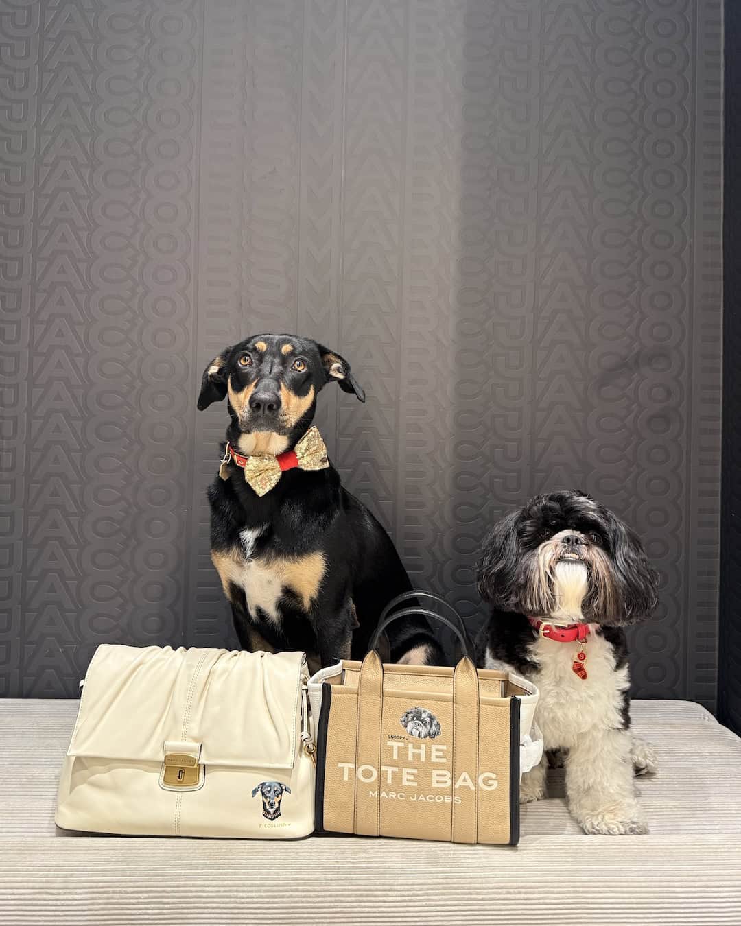 Marc Jacobs Pet Portraits - Bark Jacobs Regent Street London 3