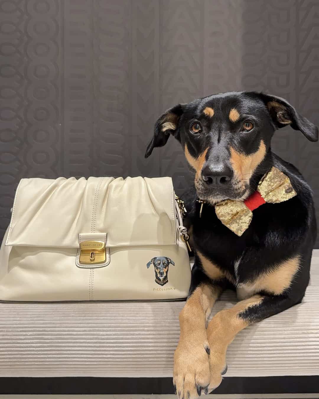 Marc Jacobs Pet Portraits - Bark Jacobs Regent Street London 6